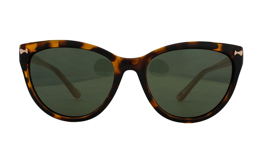 Image 14: Ted Baker Sunglasses