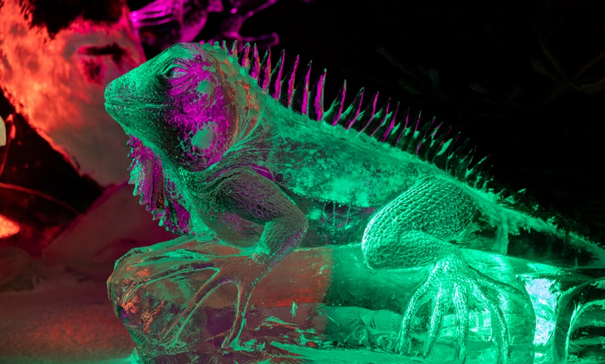 Image 6: Stap in de bevroren magie van het IJsbeeldenfestival 2026