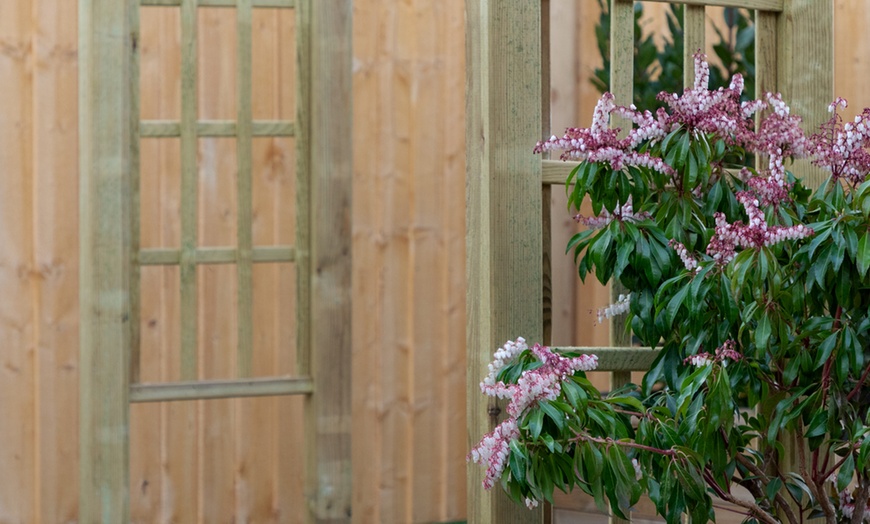 Image 4: Mercia Flat Top Garden Arch