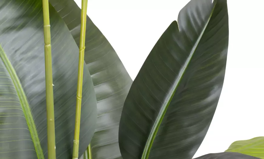 Image 19: Plantas artificiales decorativas en diferentes diseños