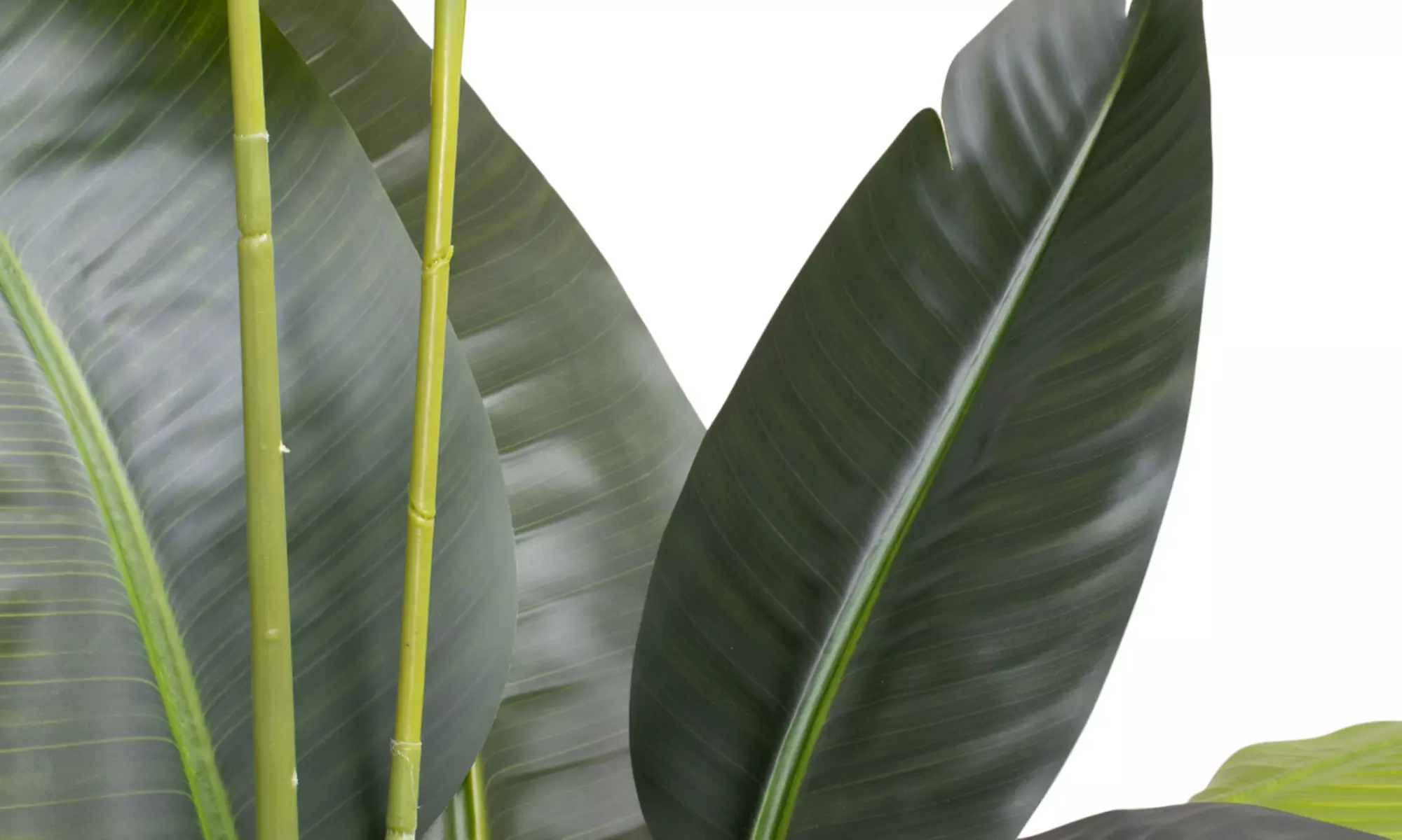 Plante tropicale artificielle avec pot