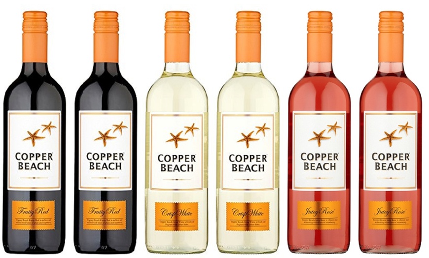 Image 4: Copper Beach Juicy Wine 75cl