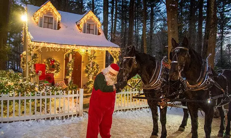 Holiday Magic For All Ages at Charmingfare Farm w/ Express Tractor Train Ticket for Up to 4 People (Save 26%) - Primary Image