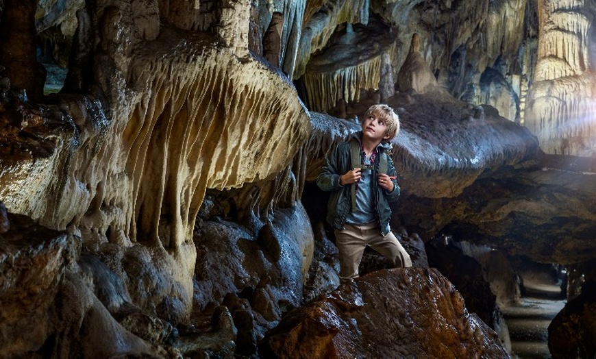 Image 4: Aventurez-vous au cœur de la Grotte de Han et de son Parc Animalier