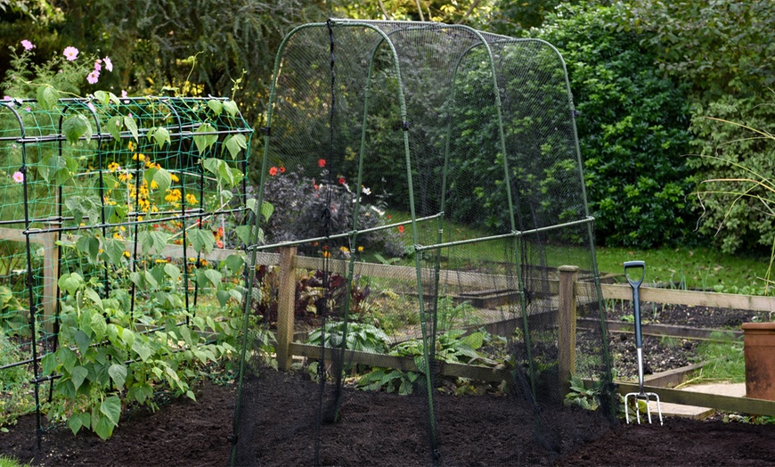 Image 3: Garden Gear Walk-In Crop Cage