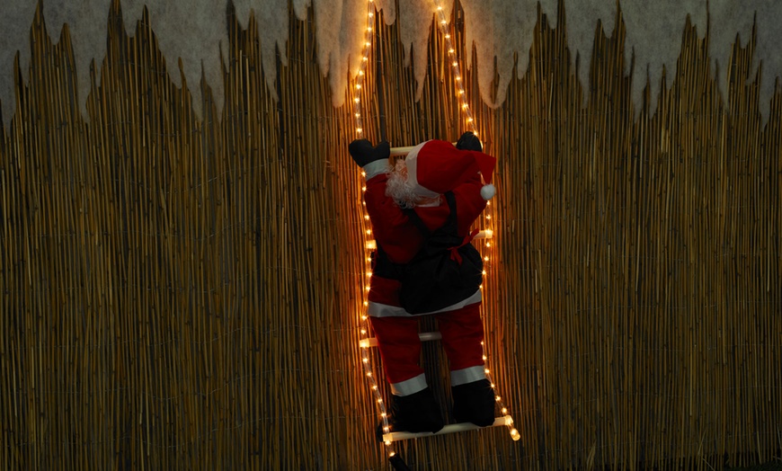 Image 4: Santa Claus LED Lights