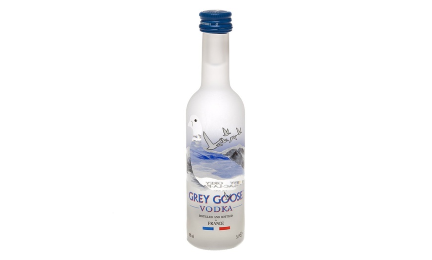 Image 1: 12-Pack of Grey Goose Miniatures