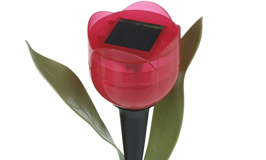 Image 7: Set of 6 or 12 Tulip-Shaped Garden Solar Lights