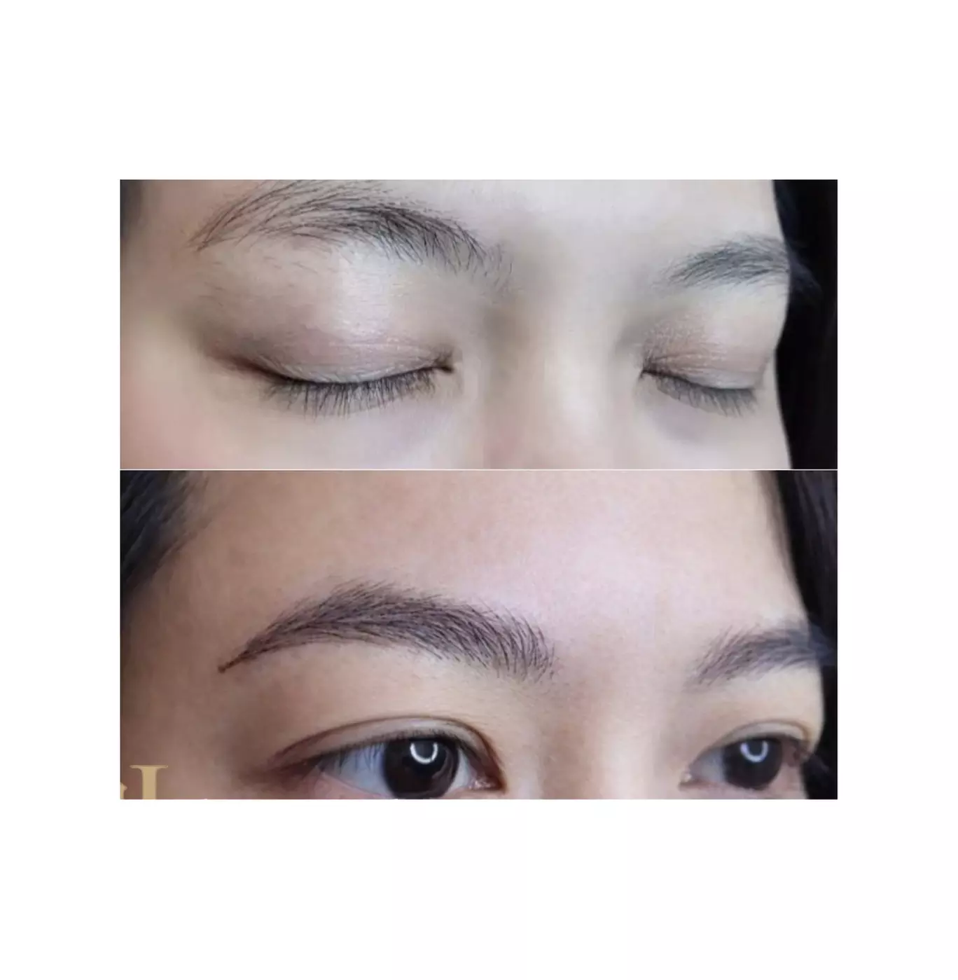 Nano/3D Microblading, Ombre/Powder Brows, or Lip Blush Session