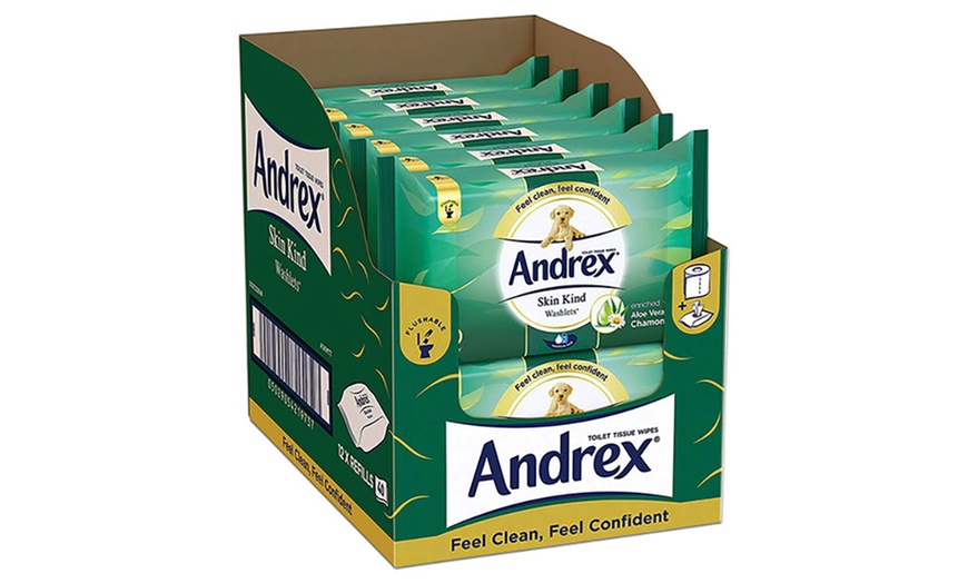 Image 16: Andrex Flushable Wipes
