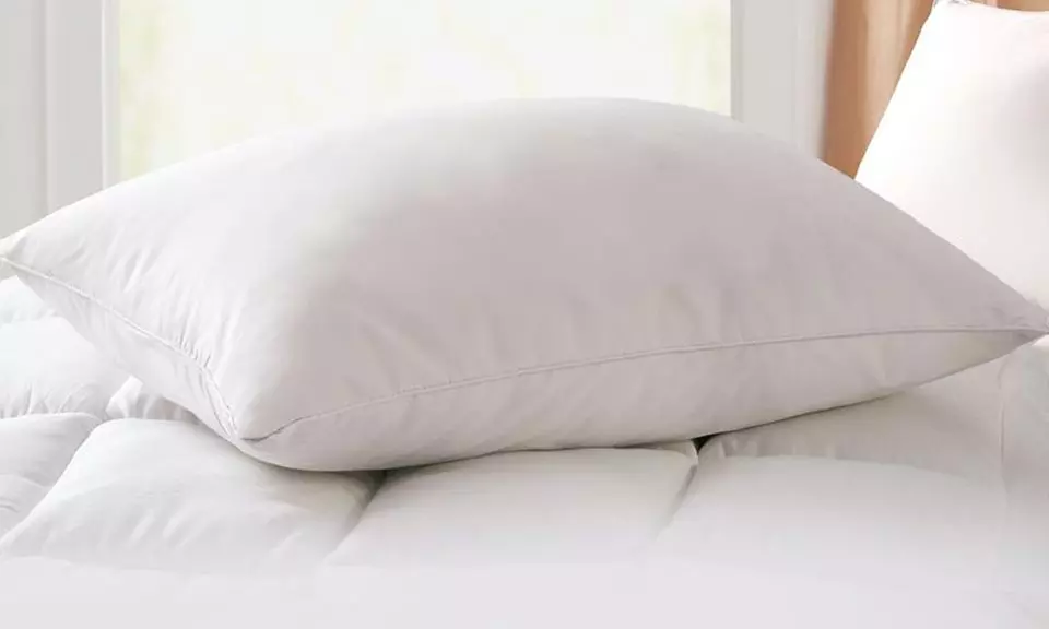 Geneva White Goose Feather and Down Pillow (2-Pack) - Primary Image