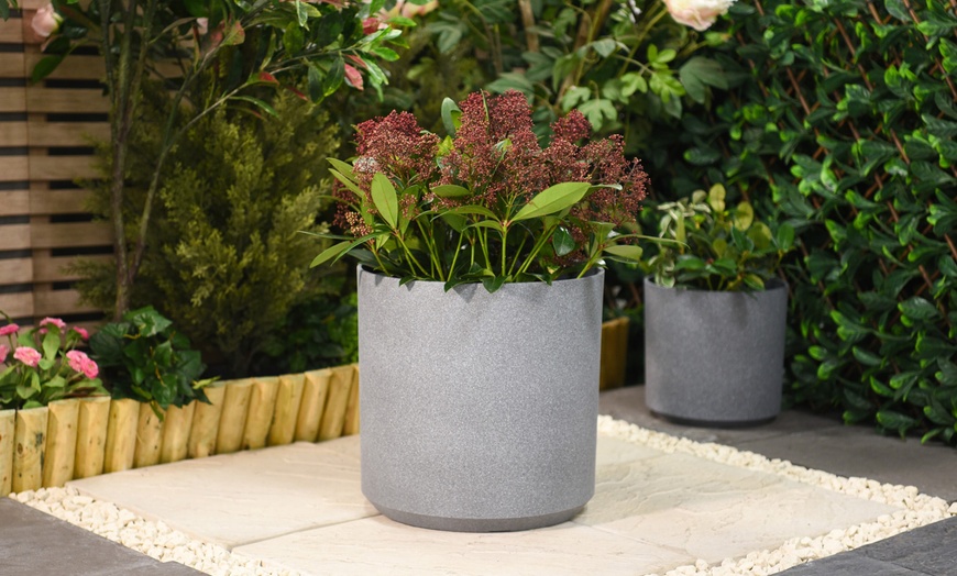 Image 4: Up to Three Grey Cylinder Planters – Various Sizes