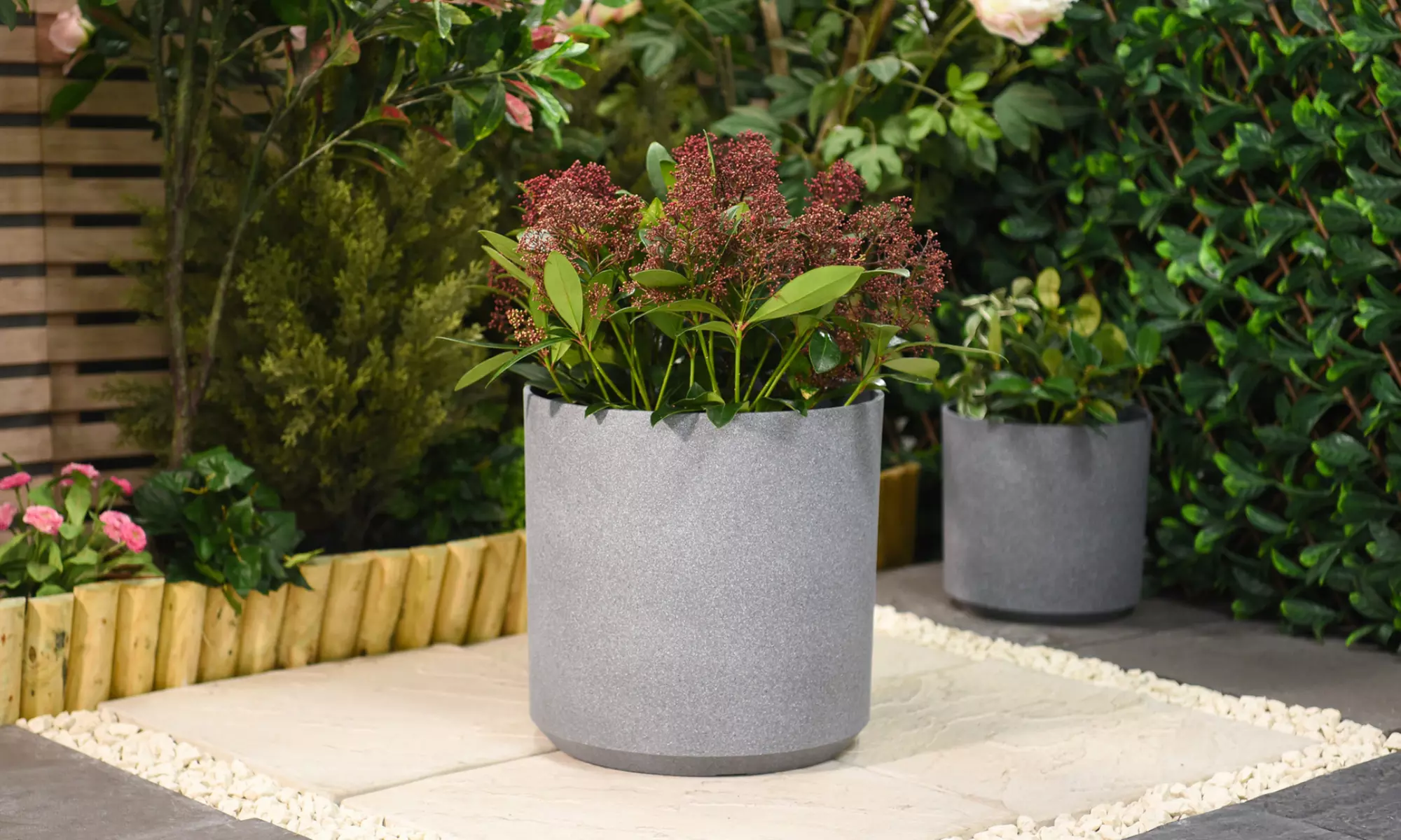 Up to Three Grey Cylinder Planters – Various Sizes