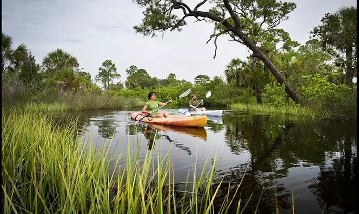 Two-Hour Kayak Rental for One or Two People at Werner-Boyce Salt Springs State Park (Up to 50% Off) - Primary Image