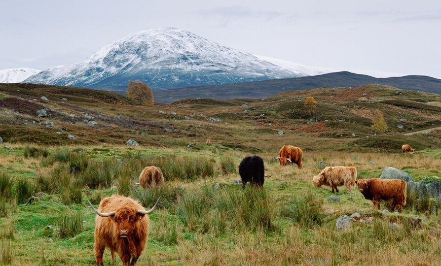 Image 9: Cottage Spa Break in Perthshire