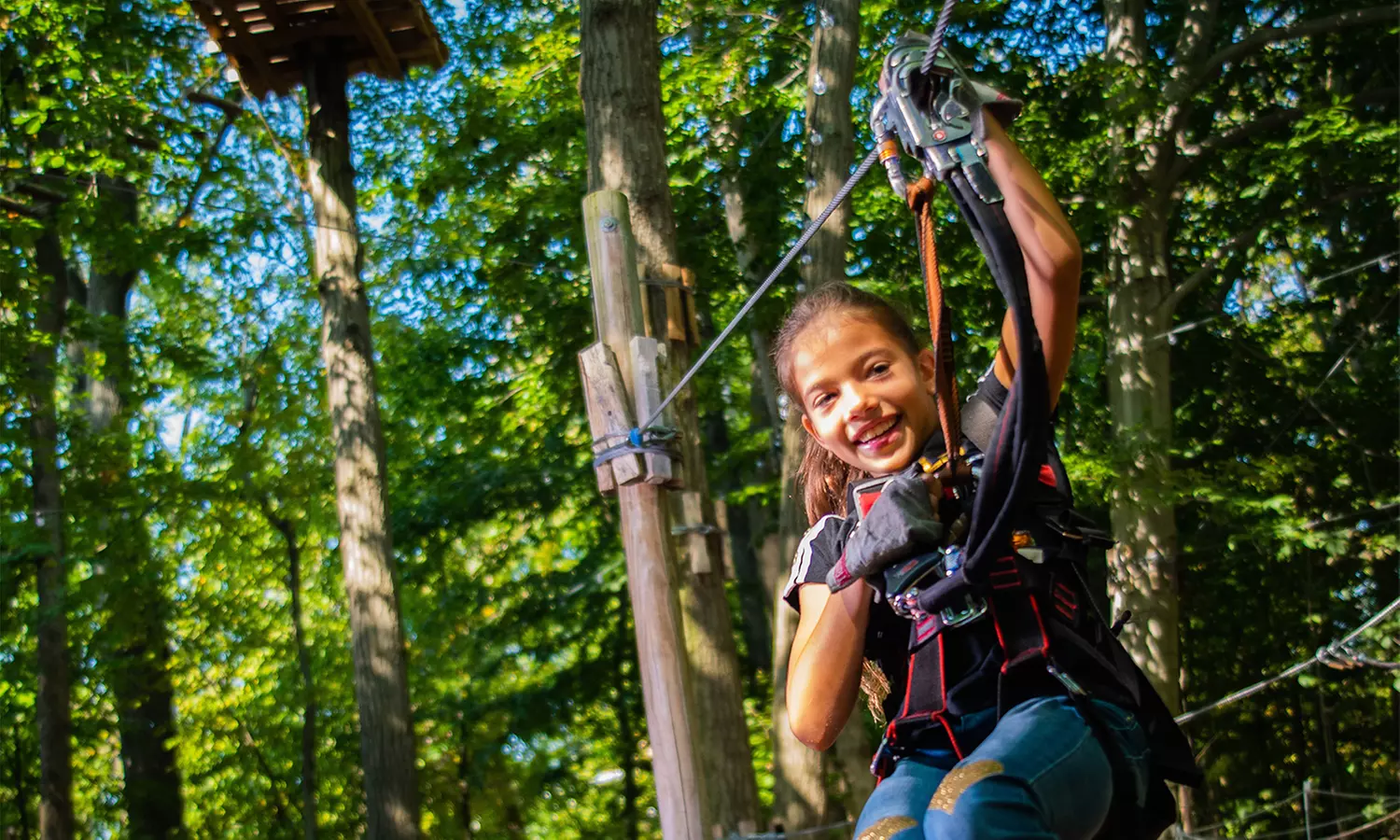 Aerial Adventure Park Experience for One, Two, Four, or Six at The Adventure Park at Nashville (Up to 21% Off) - Primary Image
