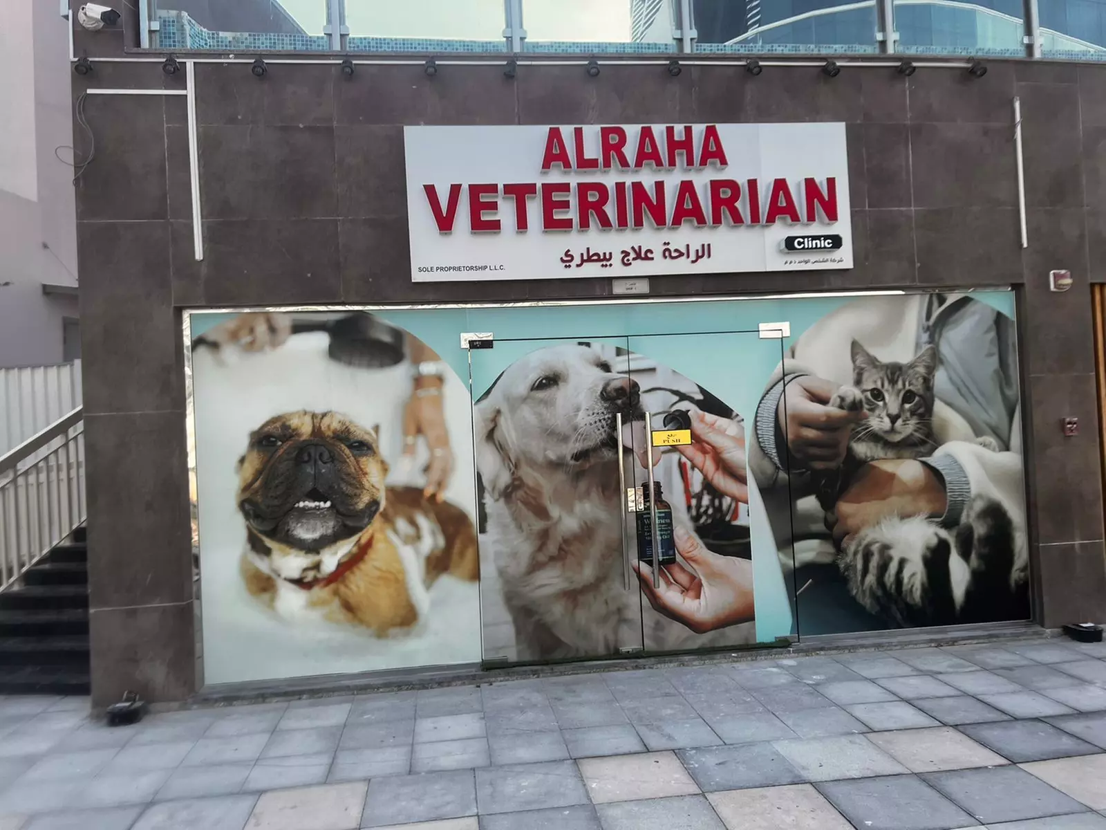 Dog/Cat Medical Check Up at Al Raha Veterinary Clinic