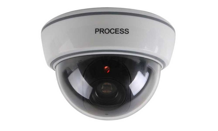 Image 5: Dummy Surveillance Cameras