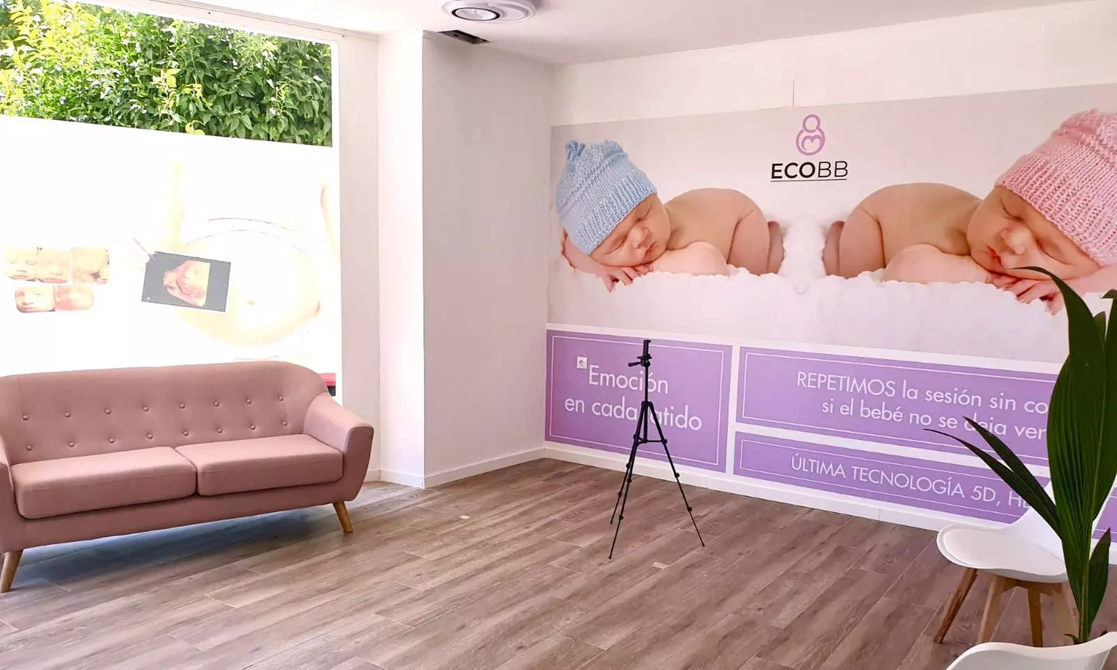 Ecografía ECO5D: Fotos, video y latido en tu móvil desde la semana 7