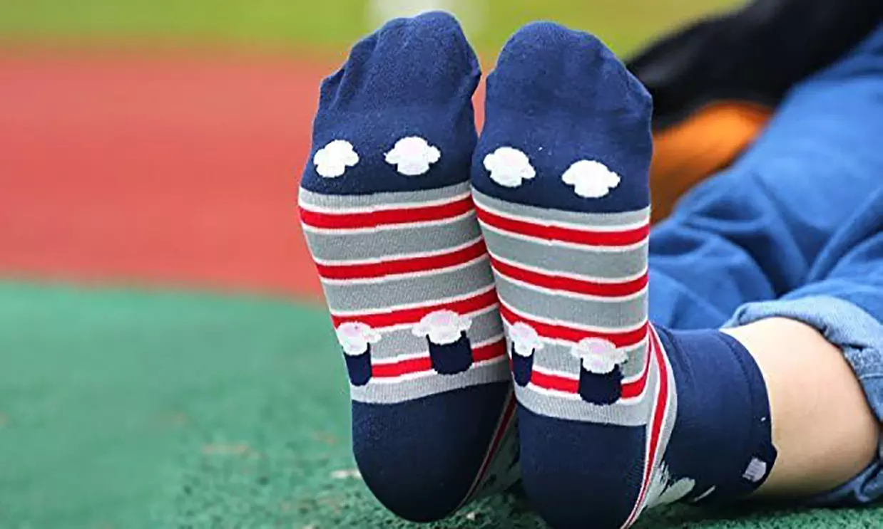 1, 5 ou 10 paires de chaussettes colorées à motifs chiens