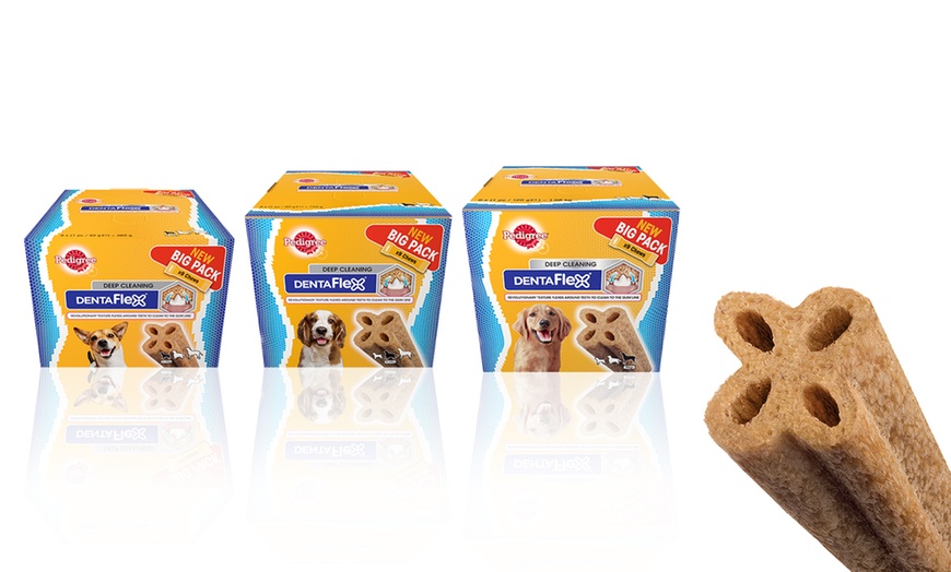 Dentaflex hotsell for dogs