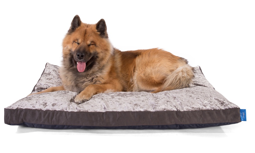 Image 5: Silentnight Dog Bed