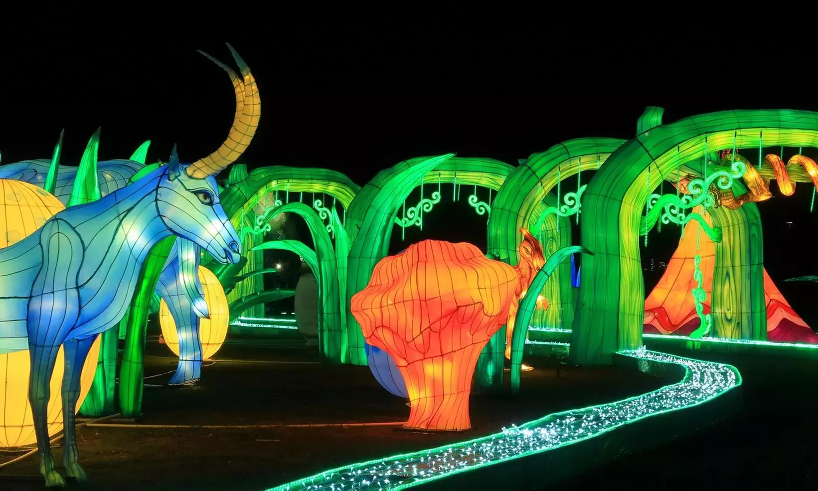 Magical Winter Lights - Houston's Dazzling Holiday Lantern Festival