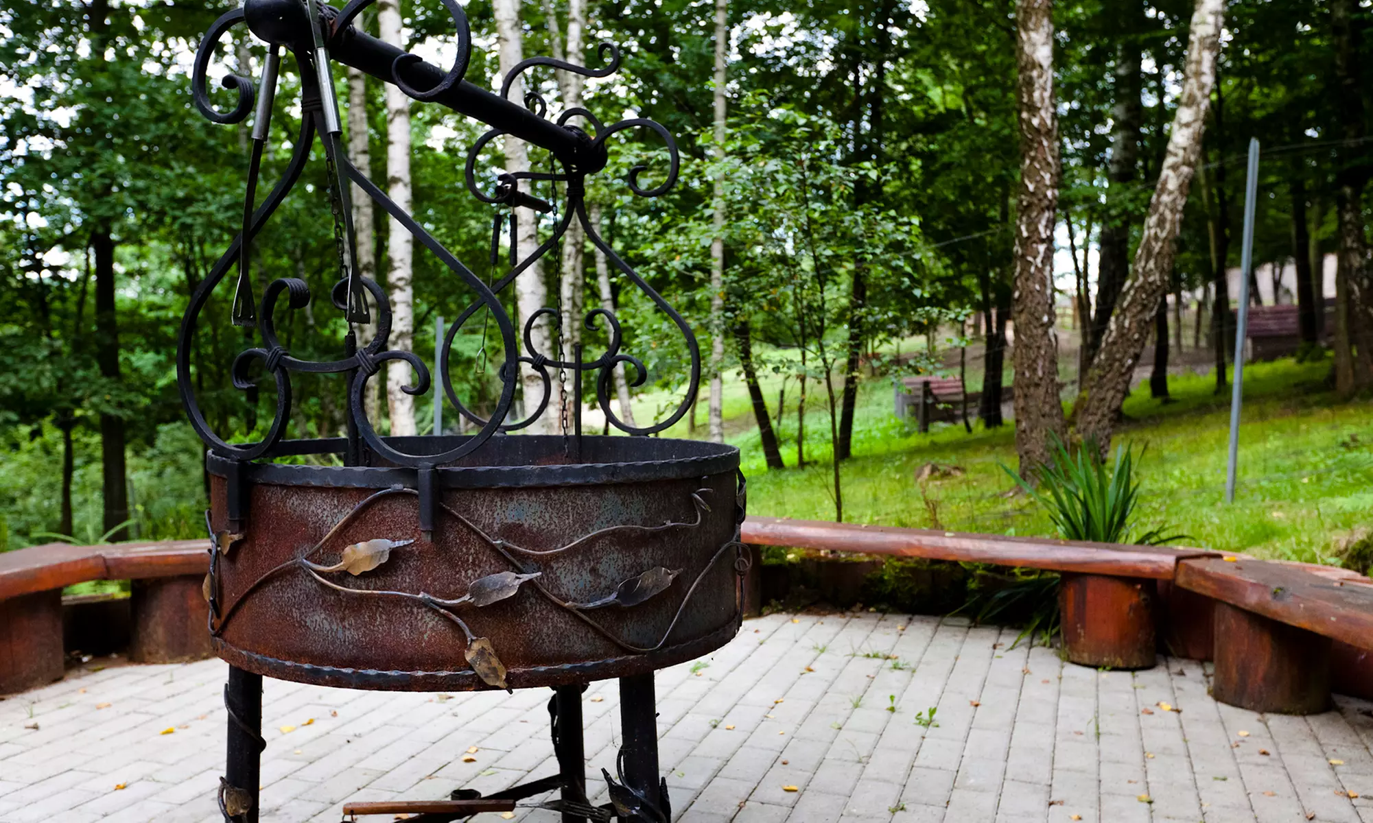 Do 30% zniżki na Zoo/Park safari w Gospodarstwo Agroturystyczno – Edukacyjne „Zwierzyniec Kopytkowo”