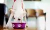 Dog Food 101: Build A Better Bowl – Single Or Group Admission For Pet Parents At Farm N' Sea Pets(Up to 50% Off)