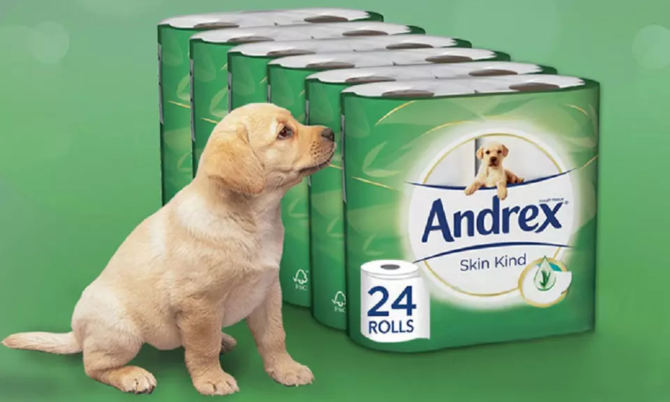 24, 48 or 96 Rolls of Andrex Aloe Vera Skin Kind Toilet Paper - Primary Image