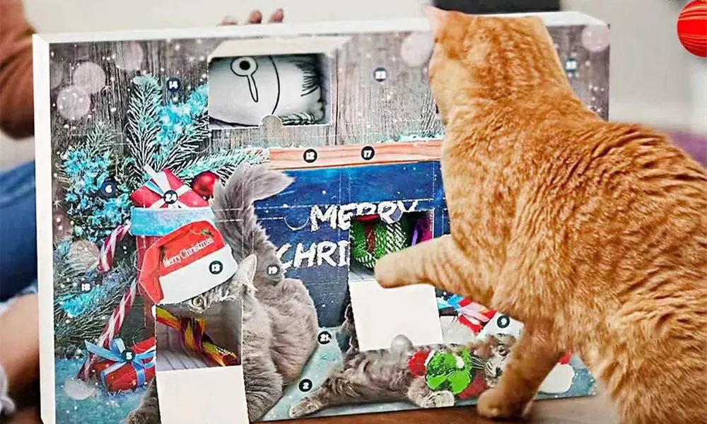 24 Days Cat Toys Christmas Advent Calendar