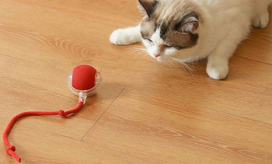 Image 1: Interactive Electric Cat Rolling Ball Toy