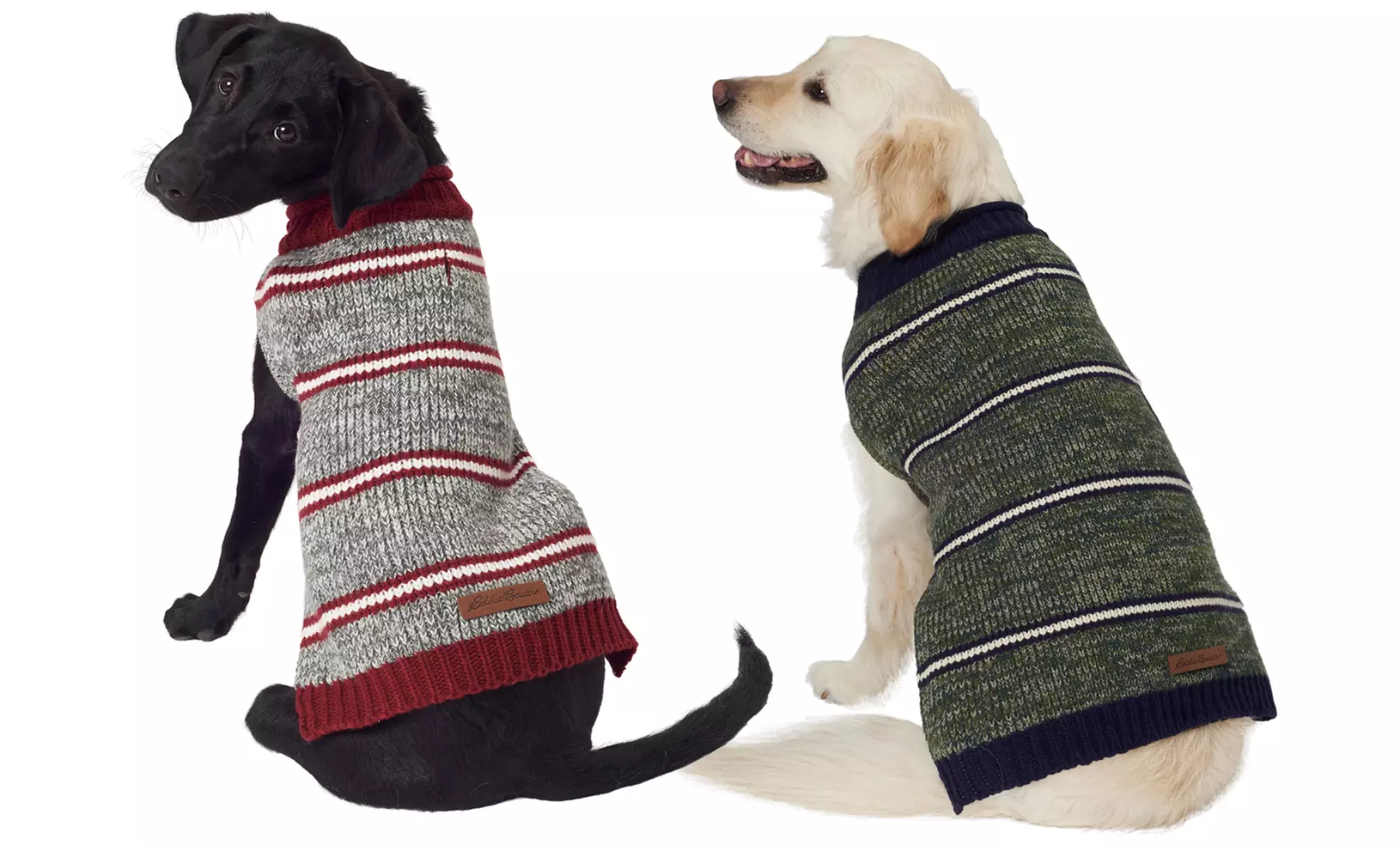 Eddie Bauer Marled Striped Dog Sweater - Primary Image