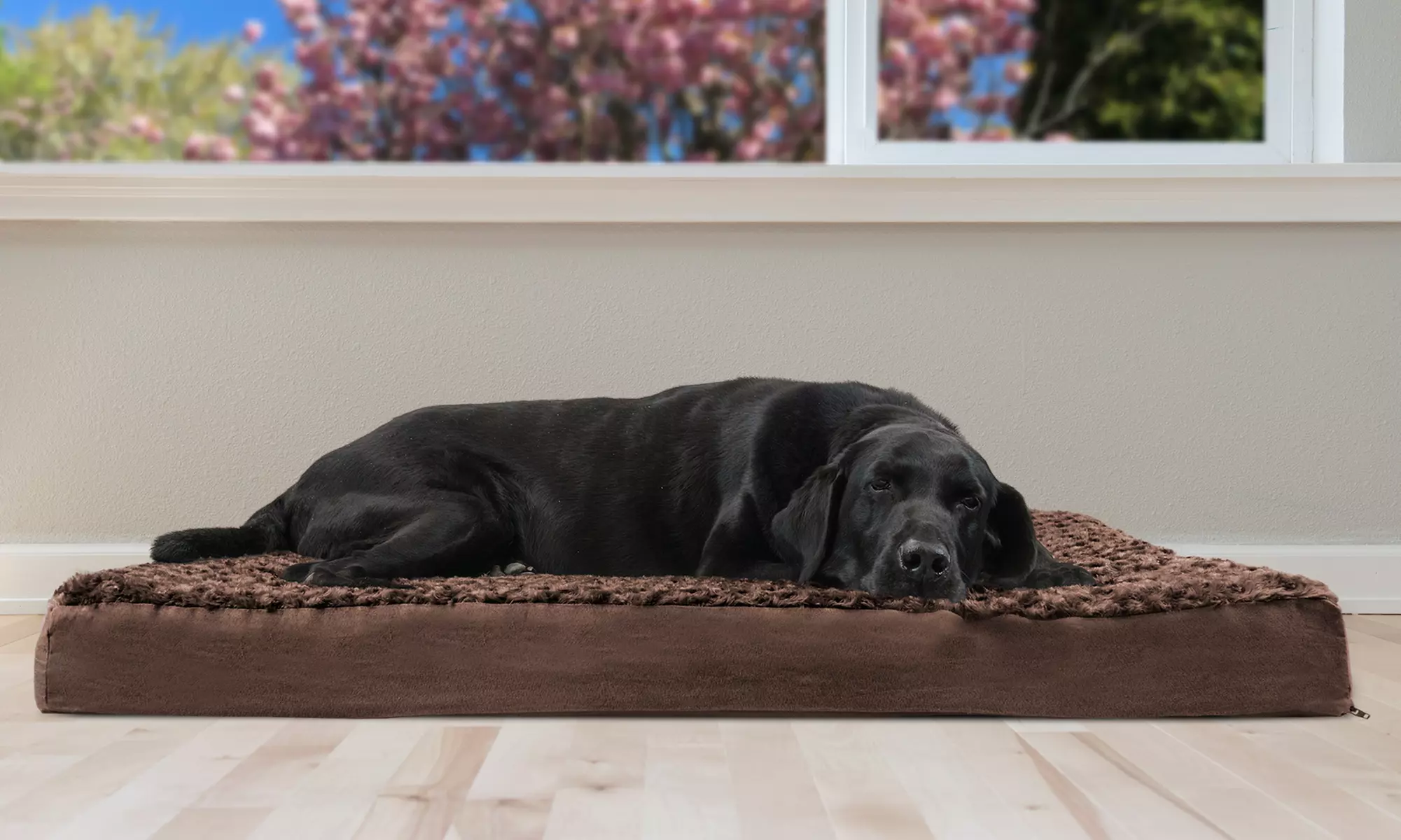 FurHaven Deluxe Ultra-Plush Orthopedic Pet Dog Bed - Primary Image