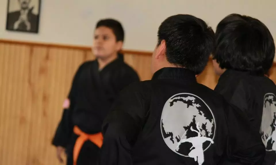 One-Month Child or Adult Martial Arts Class Pass at North Jersey Bujinkan Buyu (66% Off) - Primary Image