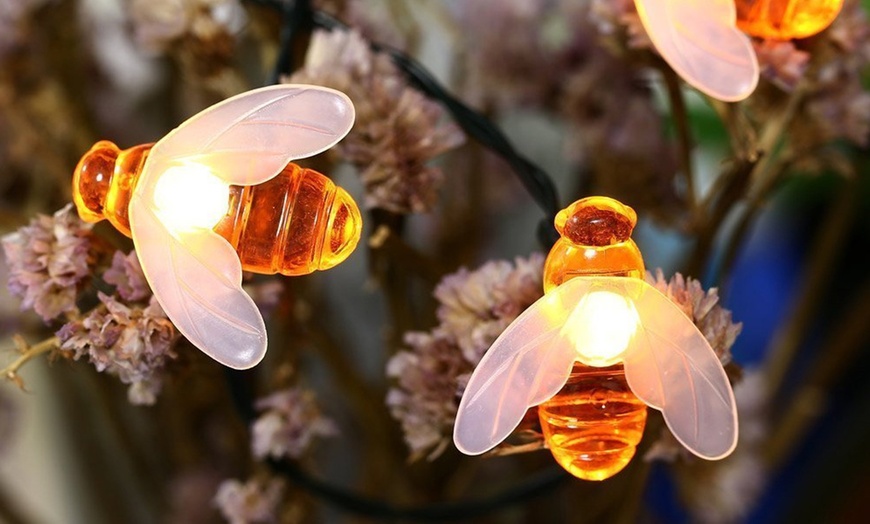 Image 4: Honey Bee Solar-Powered Lights