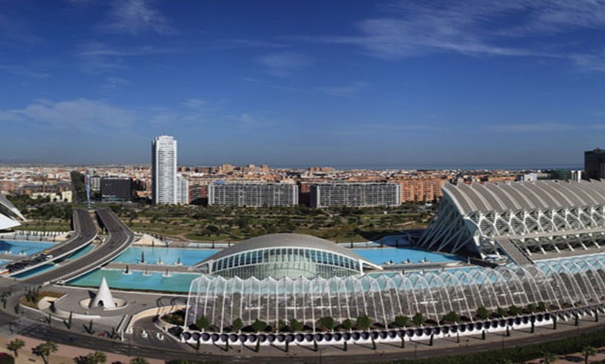 Image 28: Entrada de 1 día al Oceanogràfic, Museo Príncipe Felipe y/o Hemisfèric