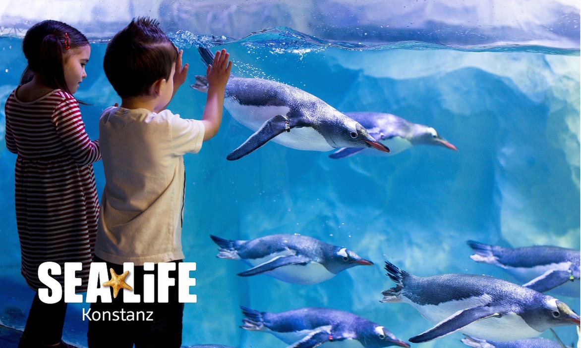 Standard-Ticket SEA LIFE Konstanz