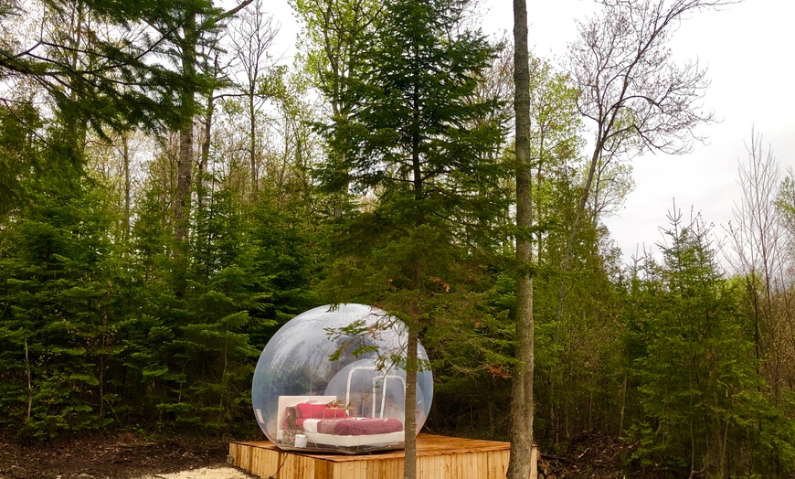 Image 9: Accommodation in a Bubble Tent