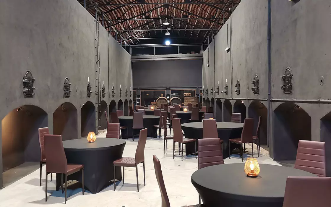 Visita a bodega más cata en Besalduch Valls And Bellmunt