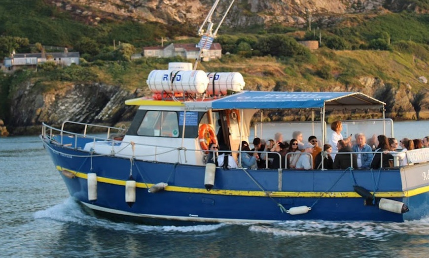 Image 5: Sunset or Howth Cliffs Cruise at Howth Cliff Cruises Island Ferries