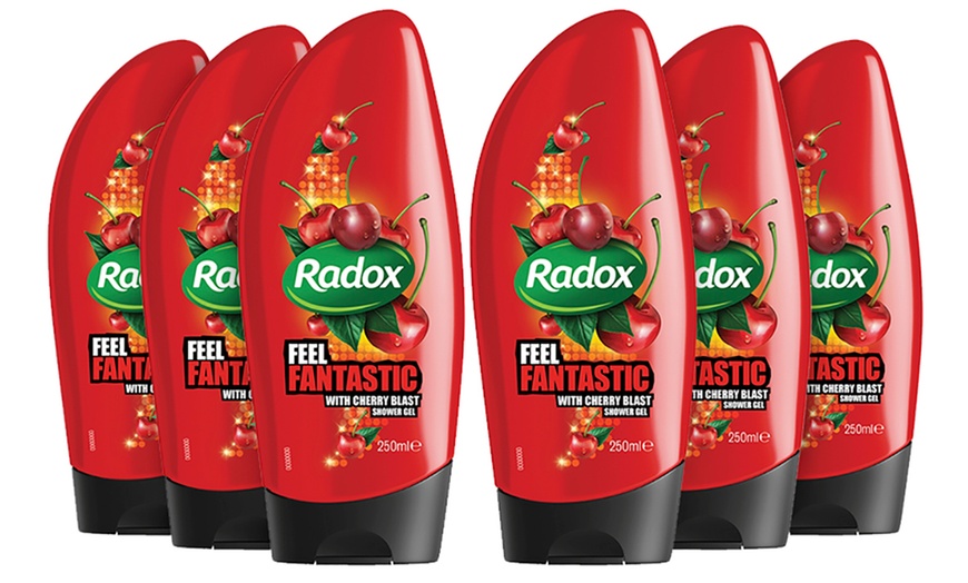 Image 7: Radox Shower Gels 250ml