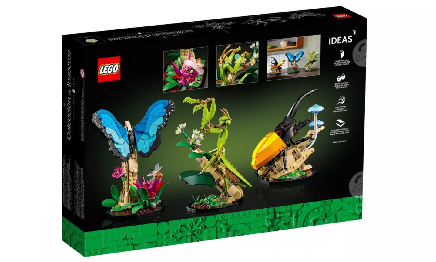 LEGO Ideas The Insect Collection 21342 - Image 7