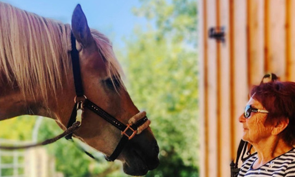 Bis zu 10 Einheiten: Achtsame Pferdezeit für Groß und Klein