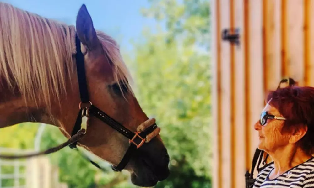Bis zu 10 Einheiten: Achtsame Pferdezeit für Groß und Klein