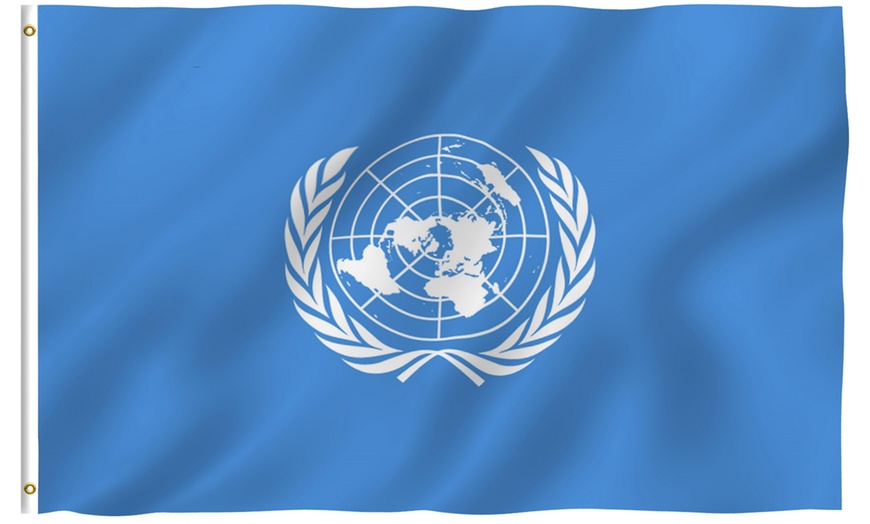 Image 52: Anley International Flag. Multiple Designs Available. 