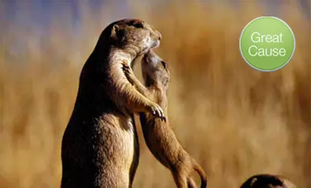 $5, $10, or $25 Donation to World Wildlife Fund  - Primary Image