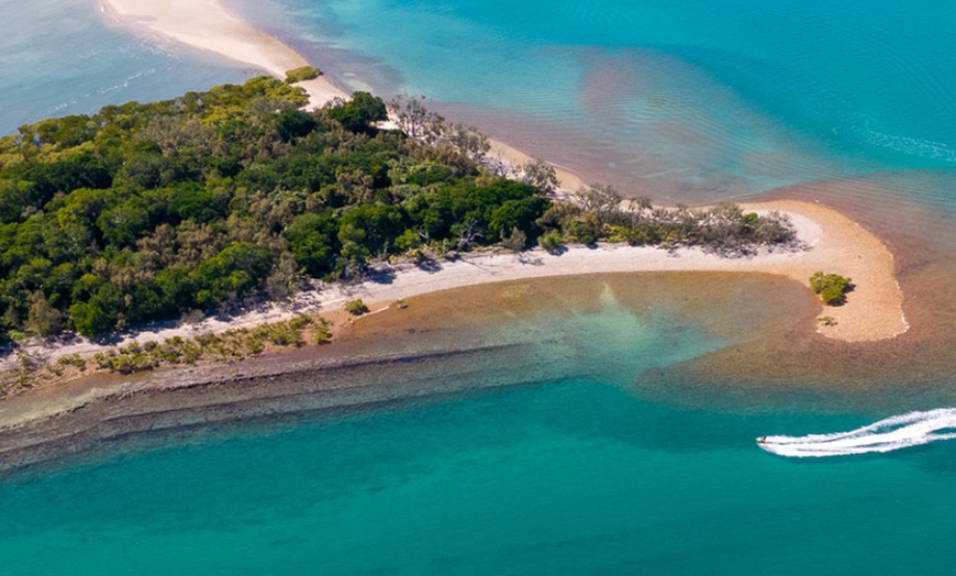 Image 5: Four-hour of Whales & Beaches, Big Woody Hiking, or Island Hopper