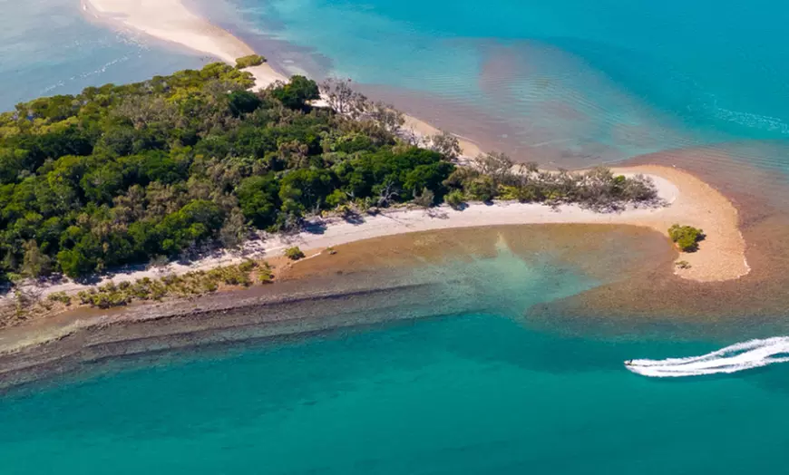 Image 5: Four-hour of Whales & Beaches, Big Woody Hiking, or Island Hopper