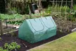 6- or 12-Shelf Greenhouse, Portable Shelving or Garden Cloche with Optional Spare Cover - Second Medium